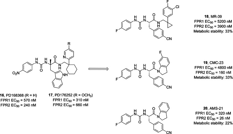 Ureidopropanamides with FPR1/2 activity. Metabolic stability is expressed as % of recovery of parent compound after 30 min incubation with rat microsomes.