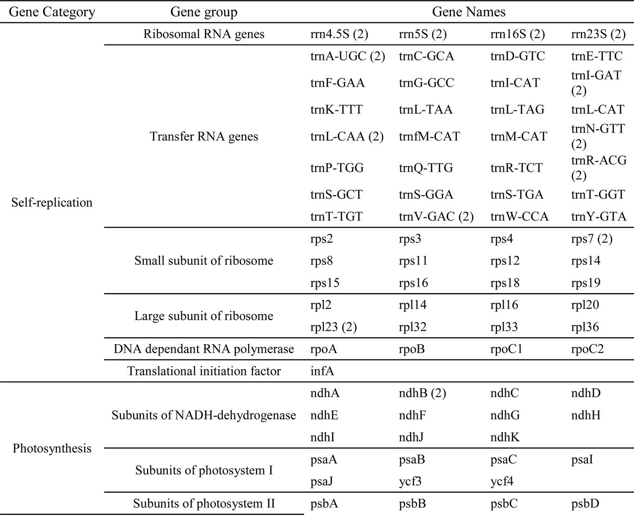 Gene content of the Ulmus americana chloroplast genome. Genes with multiple copies are indicated in parentheses.