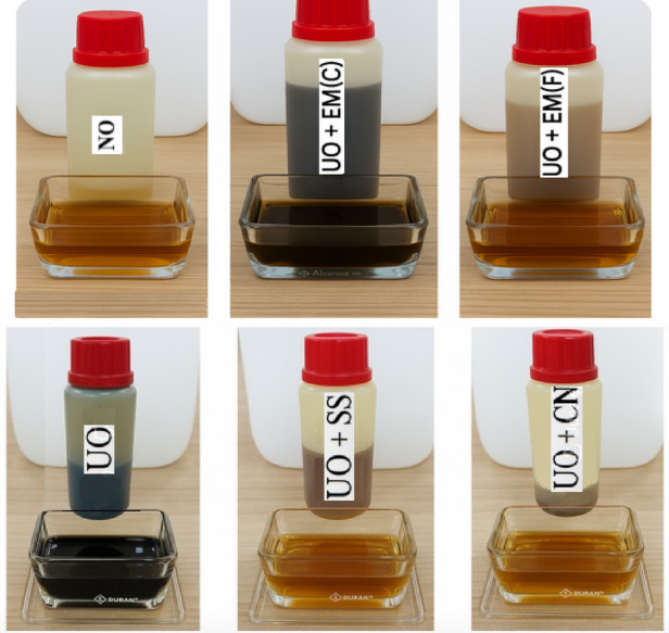 Pure oil, oil with the addition of effective microorganisms (EM) and silver (before and after working), where SS – silver solution, CN – colloidal nanosilver.