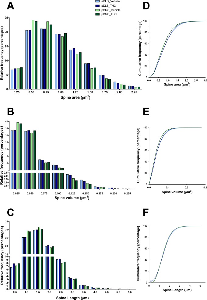 Frequency distribution of spine size parameters in the whole dendrite.The frequency distributions (A, B and C), and cumulative frequency distribution functions as percentages (D, E and F) of spine size parameters analysed. Spine area (A, D), spine volume (B, E), and spine length (C, F). Frequency distributions and cumulative frequencies are plotted as unsmoothed data considering all the spines in each group; n = 8 mice per group.