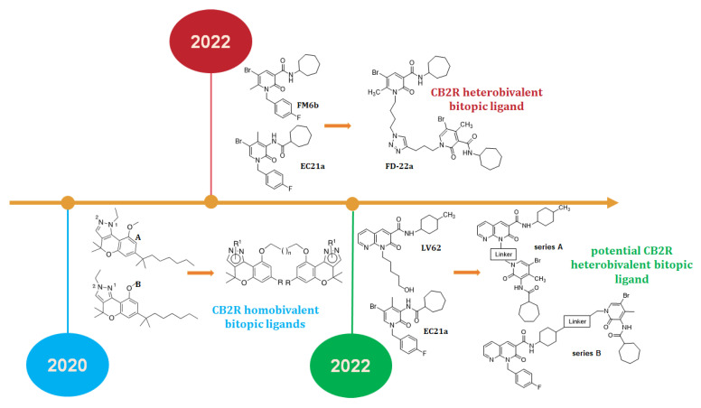 Timeline of published studies about CB2R bitopic (dualsteric) ligands.