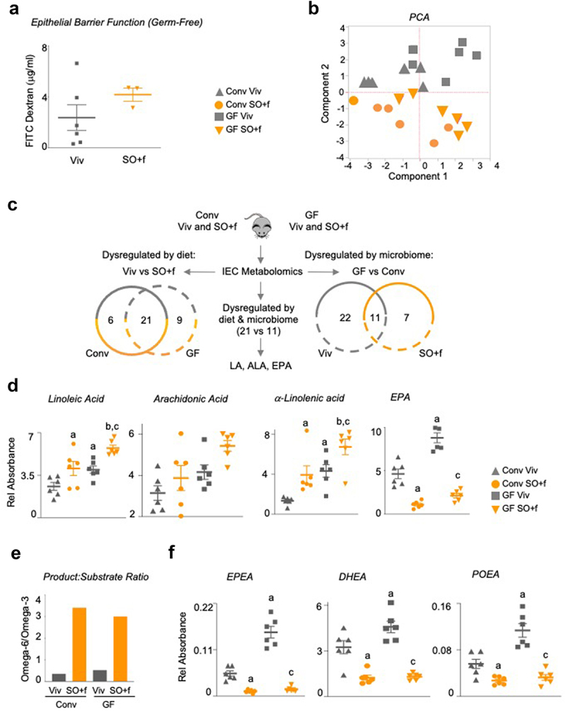 A diet high in LA decreases barrier function and alters the metabolome in the intestines of conventionally raised and germ-free mice.