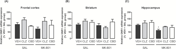 Effects of chronic MK-801 (1mg/kg), clozapine (CLZ; 1mg/kg), and CBD (60mg/kg) treatment on mRNA expression of the NMDAR GluN1 subunit gene (GRN1) in the (A) frontal cortex, (B) striatum, and (C) hippocampus. The data are presented as the mean ± SEM (n = 5–7/group). *p < 0.05 vs. VEH + SAL group; Kuskal-Wallis followed by the Dunn test.