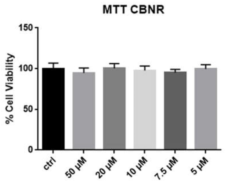 Results of cell viability after incubating NSC-34 cells with different concentrations of CBNR. MTT test indicates that CBNR is not toxic to cells after 24 h of incubation.