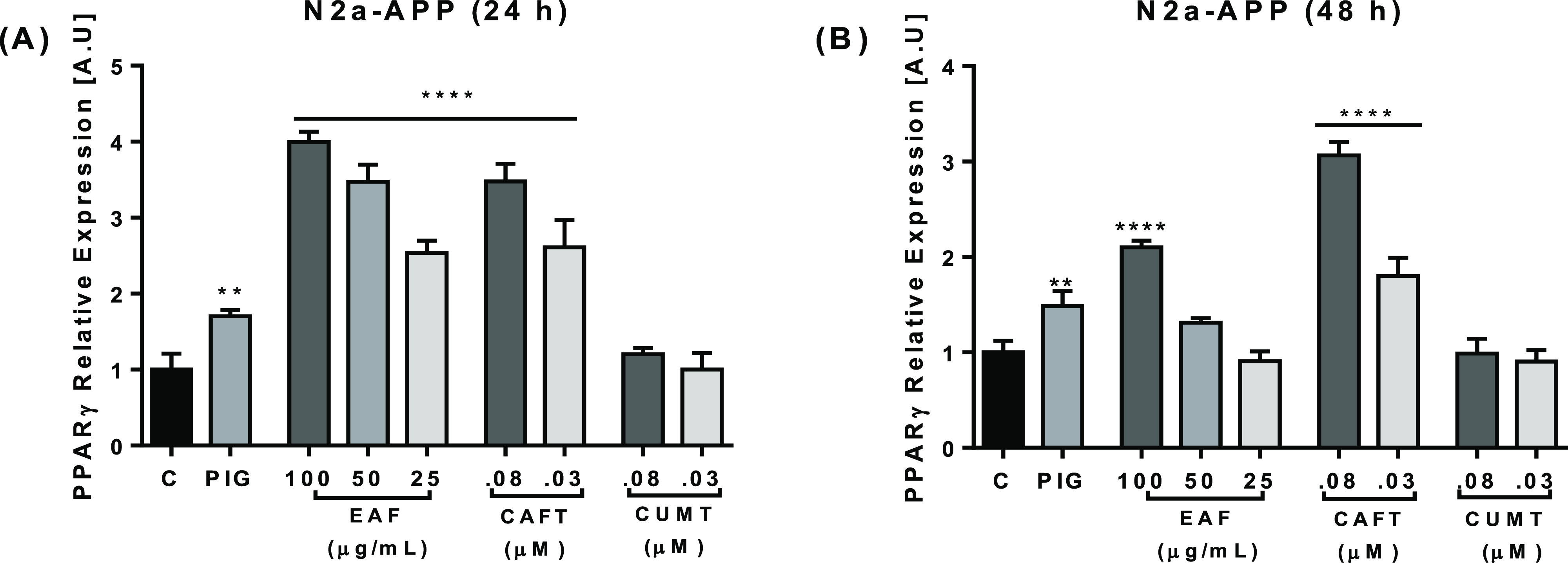 EAF, CAFT, and CUMT promoted PPARγ gene expression. N2a-APP cells were treated with the EAF at 25–100 μg/mL and CAFT and CUMT at 0.03–0.08 μM for 24 h (A) and 48 h (B). PIG (14 μM) was used as positive control. The result showed significant changes in PPARγ gene expression of the EAF and CAFT after 24 h at all concentrations tested (A), and after 48 h of treatment EAF and CAFT showed decreasing activity (B) and CUMT showed no significant changes. EAF-, CAFT-, and CUMT-treated cells were compared with control cells. Data are expressed as mean ± SD, n = 3. The p values were calculated using one-way ANOVA, *p < 0.05; **p < 0.01; ***p < 0.001; ****p < 0.0001.