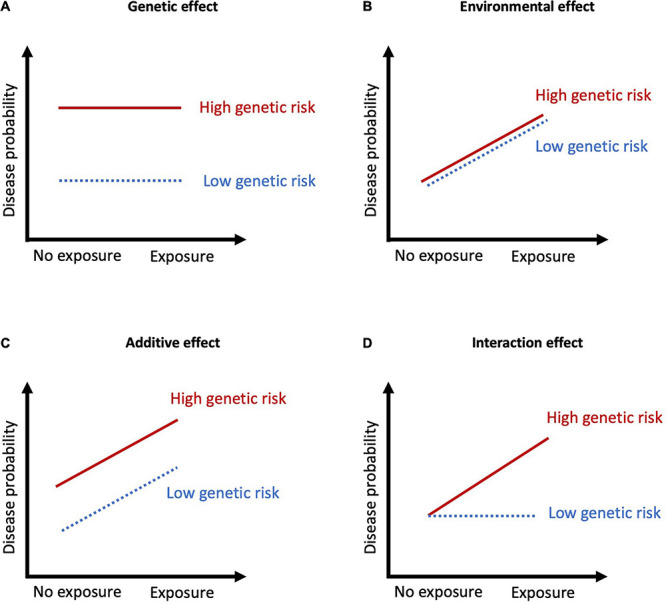 Summary of the types of G×E interactions. (A) Genetic effect with no exposure effects, meaning the variation in disease probability is stable across a range of environments; (B) Environmental effect with no genetic effects, meaning the variation in disease probability is stable across different genotypes; (C) Additive effects occur when disease probability results from the addition of the genetic and environmental factors. The exposure results in the same degree of increase in disease probability; (D) Interaction effects when genetic risk determines sensitivity to environmental factors. When there is no exposure, disease probability is low regardless of genetic risk, but in the presence of an exposure, those with high genetic risk have markedly increased probability of disease.