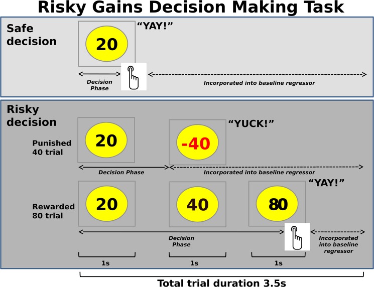 Risky Gains Task.In two subsequent gambles on 96 trials, subjects could gamble the safe option (cash in 20 cents) for double or nothing, to gain 40 or, in the potential second gamble, 80 cents (“risky” decisions). Positive values needed to be collected within their respective 1sec presentation window. 54 trials were predefined as rewarded (+20, +40, +80), 24 as punished 40 trials (-40) and 18 as punished 80 (-80) trials. Overall totals were displayed on top after a given trial, so that subjects could monitor their performance and monetary wins and losses. Decision phase regressors for fMRI analysis were defined as lasting from the onset of the trial until the subject had made a response, or, in the case of a response latency greater than 1sec, until the subject was presented with a negative value. The baseline regressor encompassed the time to initiation of the trial and the time after presenting the outcome, and also included the null trials that are interspersed.