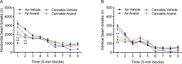 Chronic exposure to cannabis smoke does not prevent the anandamide-induced decrease in locomotor activity and rearing.Rats were exposed to cannabis smoke for 2 weeks and 24 h after the last smoke exposure session it was investigated if pre-exposure to smoke affected anandamide (10 mg/kg, ip) induced changes in horizontal (A) and vertical beam breaks (B) in the small open field. A, B: Plus signs (++ p<0.01, cannabis-anandamide group) and asterisks (** p<0.01, air-anandamide group) indicate a decrease in horizontal and vertical beam breaks compared to the air-vehicle group. A: Pound sign (# p<0.05, cannabis-vehicle group) indicates a decrease in horizontal beam breaks compared to the air-vehicle group. N = 10–16 per group. Abbreviations: Air, air-control group; Anand, anandamide. Data expressed as means ± SEM.