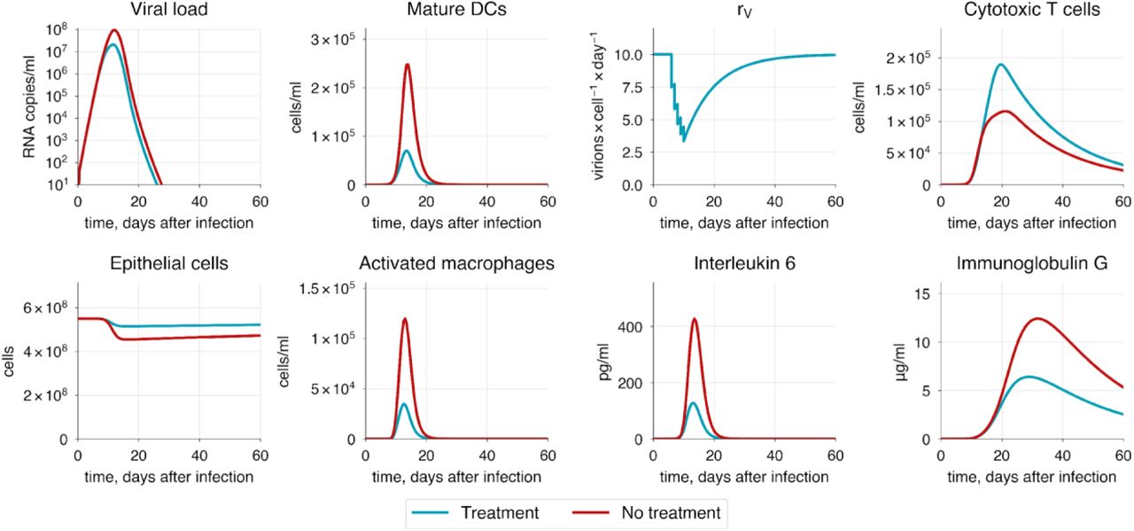 The baseline model solution with inhibited viral replication. Drug is administered daily for five days post-symptom onset.