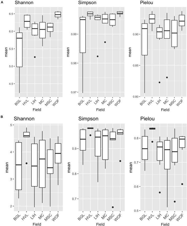 Microbial species diversity and evenness in different hemp fields. The analysis of alpha diversity indices (Shannon and Simpson) and Pielou’s evenness index of the bacterial and fungal communities: (A) bacterial microbiota; (B) fungal microbiota. Indices are shown according to fields. Field name: BGL, Bluegrass Lane; HVL, Hudson Valley Lab; LIH, Long Island Horticultural Research and Extension Center; MC, McCarthy CBD Trial; MSC, McCarthy Stress Trial; and WOF, Wegman’s Organic Farm. Three replicates were used for the analysis of species diversity and evenness.