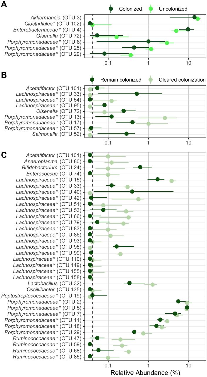 Bacterial community OTUs differentially abundant in streptomycin-treated mice which resisted or cleared colonization.Murine gut bacterial community OTUs that were significantly different by LEfSe analysis. OTUs from streptomycin-treated mice at the time of C. difficile challenge (day 0) which were differentially abundant between (A) mice that were colonized (dark green) and those that were not (no detectable CFU throughout the experiment, bright green) or (B) mice that remained colonized (dark green) and those that cleared colonization (CFU reduced to below the limit of detection by the end of the experiment, faint green). (C) OTUs from streptomycin-treated mice at the end of the experiment (day 10) which were differentially abundant between mice that remained colonized (dark green) and those that cleared colonization (CFU reduced to below the limit of detection by the end of the experiment, faint green). Points are median values and lines represent the interquartile range. Dashed vertical line is the limit of detection. OTUs ordered alphabetically. * indicates that the OTU was unclassified at lower classification rank.