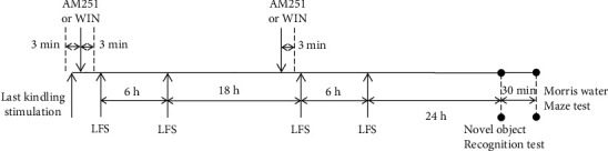 Time-line diagram showing the protocol used for AM251 or WIN55-212-2 (WIN) injections and low-frequency stimulation (LFS) application in the KLFS+AM251 or KLFS+WIN groups.