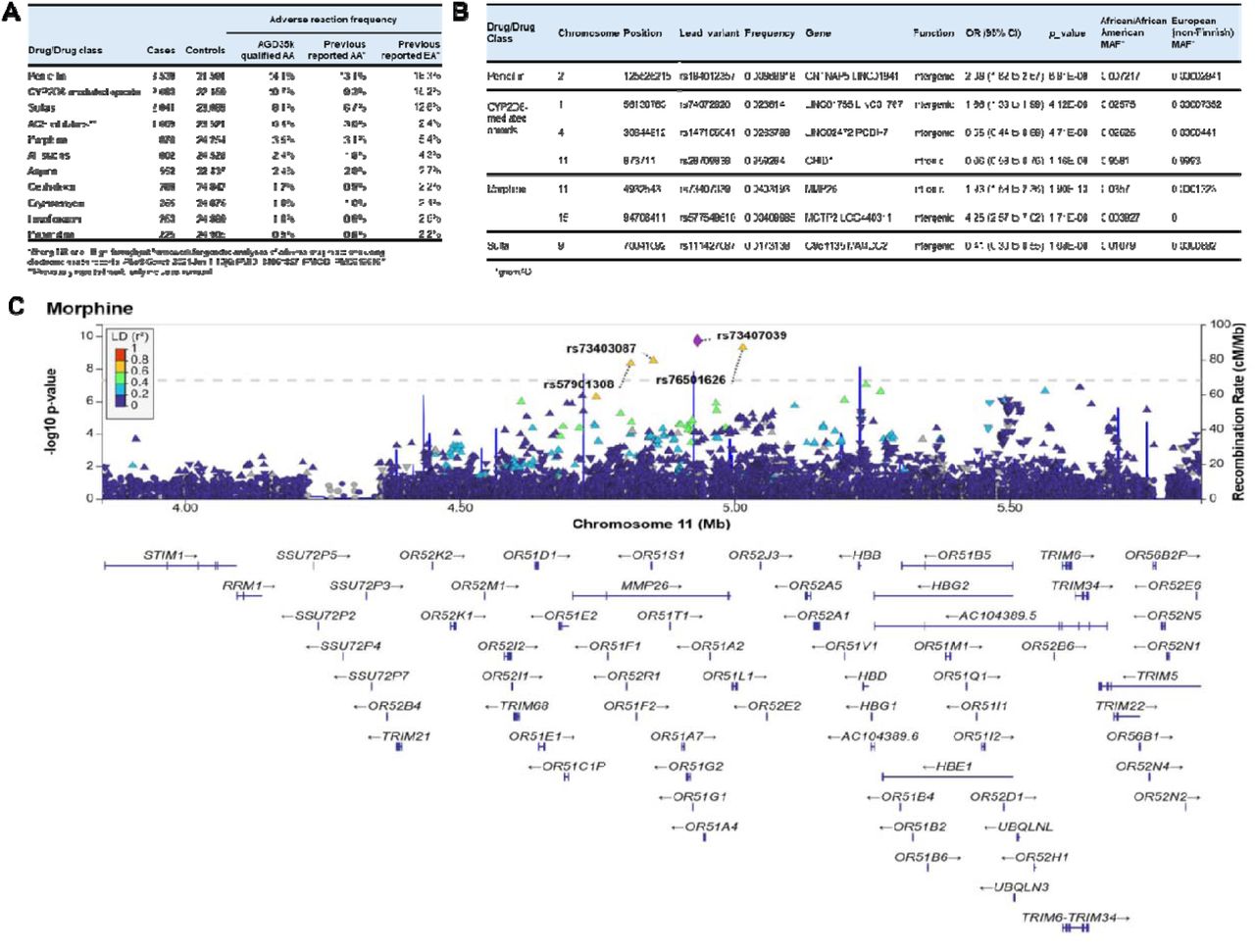 Adverse Drug Events (ADE) among the AGD35k cohort with majority African ancestry, with problem list entries, and passing quality control (n = 25,130).A) Frequency of Cases and Controls for ADE, compared to previously reported results. B) Genome-wide significant results, lead variant reported. C) LocusZoom Plot with MMP26 significant results for ADE with morphine use.