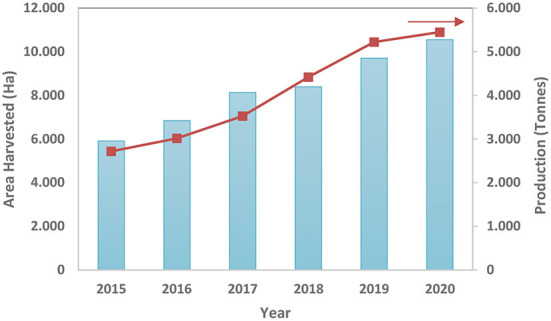Global area harvested and production of Hemp seed (2015–2020).