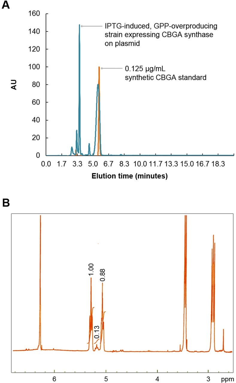 HPLC and 1H–NMR analysis of CBGA synthesized in vitro. a CBGA was detected at 270 nm. An isocratic mobile phase comprising 15–85% water-acetonitrile solution containing 0.01% TFA was used to elute the metabolites from a C18 stationary phase. b Preparative HPLC and 1H-NMR were employed to confirm the synthesis of CBGA in the in vitro reactions