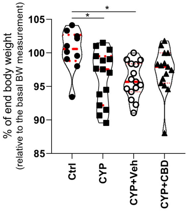 Comparison of changes in animal body weight. The mean percentage of maintained body weight is compared among animal groups (n = 10 for the Ctrl group; n = 15 for the CYP-treated group; n = 15 for the CYP + CBD group; n = 15 for the CYP + veh group). Violin plots show the percentage of final body weight for individual animals in each group. Red spotted lines show Q1, mean, and Q3. * p < 0.05.