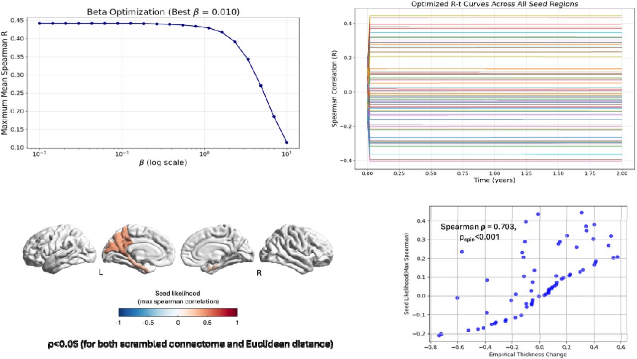 Network diffusion modelling results.Upper left panel shows beta optimization, identifying the best diffusion coefficient (β = 0.010) based on maximum mean Spearman correlation. Upper right panel illustrates optimized Spearman correlation (R) curves over time across all potential seed regions. The lower left panel maps seed likelihood (maximum Spearman correlation) across brain regions, with higher likelihood regions indicated in red. The lower right panel demonstrates the significant positive correlation between seed likelihood and empirical cortical thickness changes (Spearman ρ = 0.703, p < 0.001). Permutation testing against scrambled connectomes and Euclidean distance models confirmed the significance of these findings (p < 0.05).