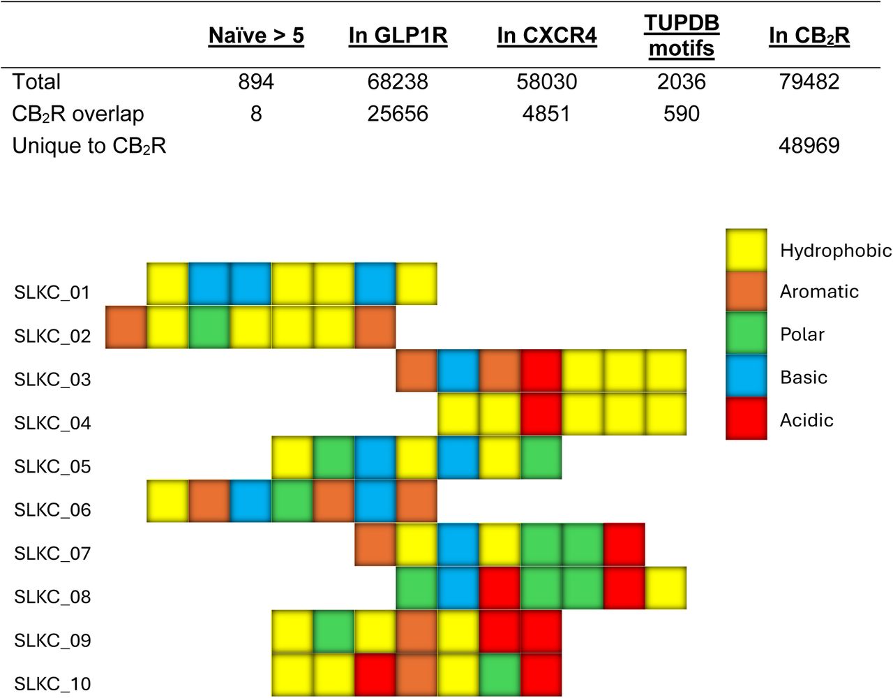 NGS identifies CNR2-specific peptide binders.Sequence characteristics for each of the top 10 peptide sequences specific for CB2R identified following NGS. These peptides were ranked based on their respective cluster size and frequency, when a frequency cut-off of > 5 was applied.