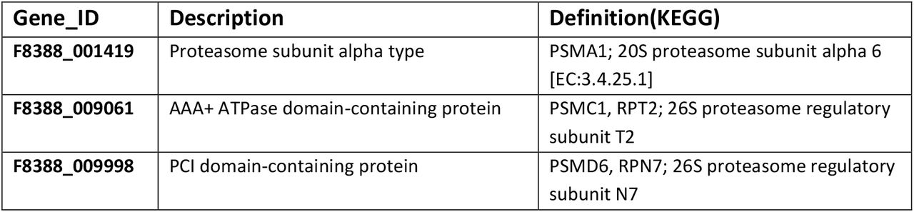 Identification and descriptions of selected HK genes for qRT-PCR control.