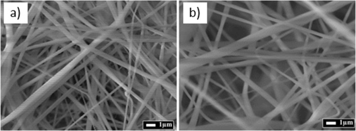 SEM micrographs of commercial cellulose acetate membranes (a) and cannabis-modified cellulose acetate membranes (b) containing 70% cannabis cellulose acetate and 30% commercial cellulose acetate.