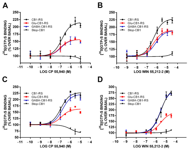 CB1 receptor coupling to Gαi/o proteins in synaptosomes obtained from frontal cortical and hippocampal tissue of Glu-CB1-RS, GABA-CB1-RS, CB1-RS, and Stop-CB1 mice. CP 55,940- (A) and WIN 55,212-2- (B) stimulated [35S]GTPγS binding in frontal cortical synaptosomes. CP 55,940- (C) and WIN 55,212-2- (D) stimulated [35S]GTPγS binding in hippocampal synaptosomes. Concentration–response curves were constructed using mean values ± SEM from triplicate data points of three independent experiments. Emax values are expressed as % specific [35S]GTPγS bound of basal.