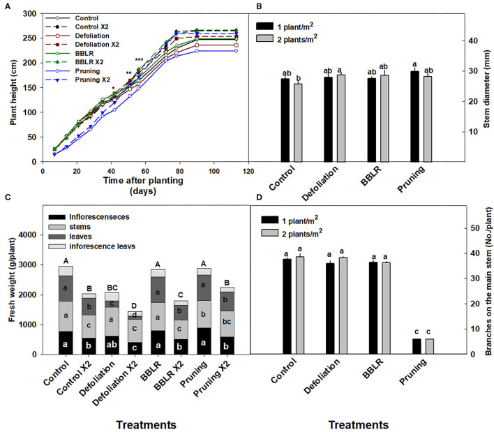 Effects of plant density and architecture modulation treatments on plant morphology. Plant height (A), biomass of plant organs and of the whole plant (bars) (B), Stem diameter (C), and number of branches (D) at harvest. The results are mean (n = 6) and SE (in C,D). Different letters above the bars represent significant differences between treatments by Tukey HSD test at α = 0.05. In (A), asterisks represent the day significant differences were first identified between density treatments within an architecture treatment (*-“Pruning”, **-“Control,” and “Defoliation,” ***-“BBLR”). In (B), different letters within the bars across a plant organ, represent significant differences between treatments. x 2 represents the density of 2 plants/m2.