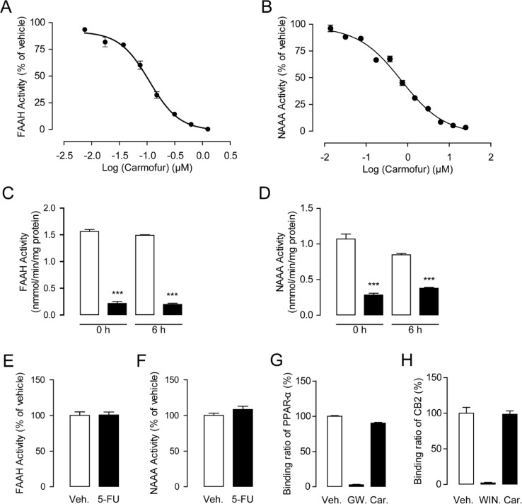 Characterization of carmofur as a fatty acid amide hydrolase (FAAH) and N-acylethanolamine acid amidase (NAAA) dual inhibitor. Concentration-dependent inhibition of HEK293-rFAAH (A) and HEK293-rNAAA (B) by carmofur. Effects of dialysis (0, 6 h; 0–4°C) on the activities of FAAH (C) and NAAA (D) by carmofur (5 µM). Results are expressed as mean ± SEM, n = 3 replicates per group. ***P < 0.001 vs. vehicle control by one-way ANOVA. Effect of vehicle (1% DMSO) or 5-fluorouracil (20 µM) on FAAH (E) and NAAA (F) activities in HEK293 cells heterogeneously overexpressing FAAH and NAAA. Competition binding assay of vehicle (1% DMSO), GW7647 (10 µM), (R)-(+)-WIN 55212-2 (5 µM), and carmofur (20 µM) for PPARα (G) and CB2 (H).