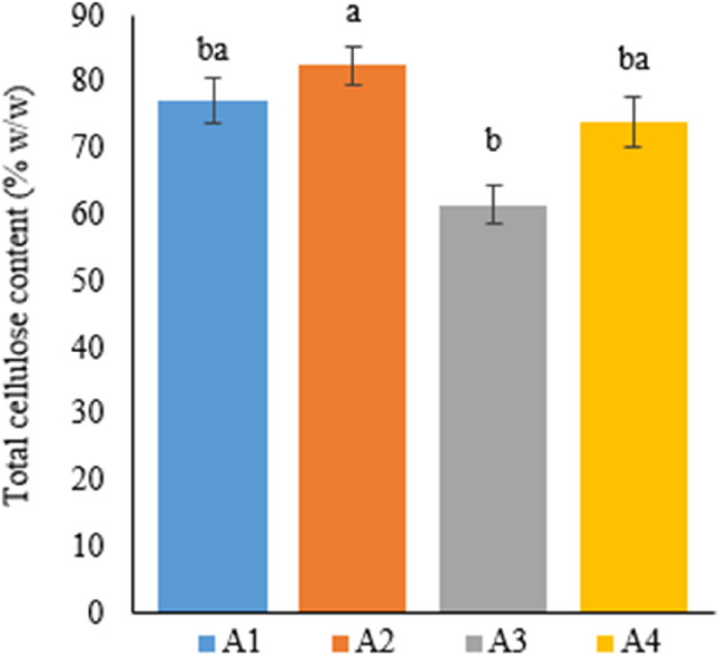 Graph showing the total cellulose content of cannabis plants which is A1: 1/2 Hoagland + 150:30:150 N: P:K, A2: 1/2 Hoagland + 150:30:150 N: P:K + 10 mg/L Si, A3: 1/2 Hoagland + 150:30:150 N: P:K + 1 mg/L IBA, A4: Soil media (peat: soil: perlite / 1:1:1). Columns shown that mean comparsions were conducted using Duncan’s multiple range test wtih the bars stand for standard deviation (SD). According to the analysis of variance, different letters indicate statistically significant differences at p ≤ 0.05