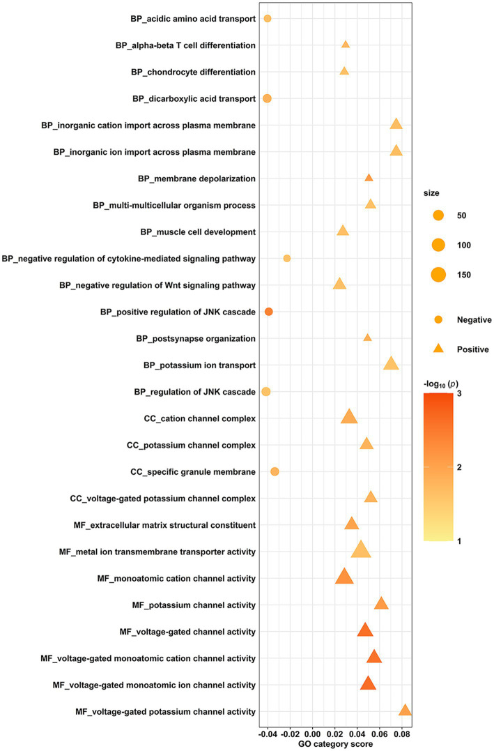 Scatter plot illustrating various Gene Ontology (GO) categories versus GO category score. Marker shapes indicate positive or negative values, and marker sizes correlate with size range (50, 100, 150). A color gradient bar represents p-values from 1 to 3. Categories range from biological processes like “T cell differentiation” to “voltage-gated potassium channel activity.”