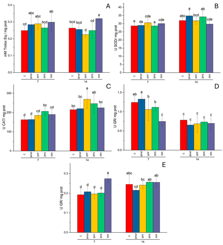 Gill CUPRAC (A), expressed as mM of Trolox equivalents/mg proteins; digestive gland SOD activity (B), expressed as U/mg proteins; gill CAT activity (C), expressed as U/mg proteins; and GR activity in digestive glands (D) and gills (E), expressed as U/mg proteins, in clams fed with bisphenol-exposed microalgae. Different letters indicate significant differences among all treatments. N = 5.