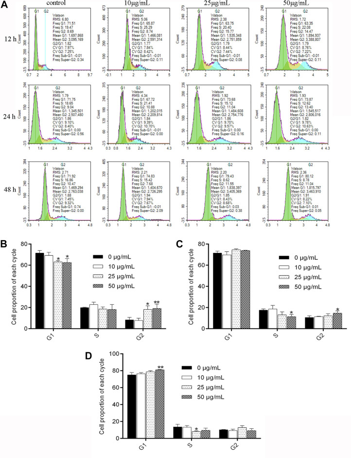 NITyr arrested the cell cycle of A549 cells. (A) Flow cytometry was performed to test the cell cycle of A549 cells treated with 0, 10, 25, and 50 μg/mL NITyr for different times, including 12, 24, and 48 h. (B) Statistical analysis of NITyr treatment for 12 h. (C) Statistical analysis of NITyr treatment for 24 h. (D) Statistical analysis of NITyr treatment for 48 h. The above experiment was conducted at least three times. *p < 0.05, **p < 0.01, and ***p < 0.001 compared to the control group.