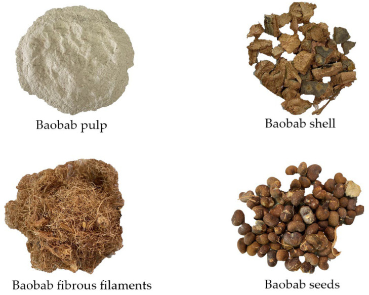 Baobab pulp, baobab shell, baobab fibrous filaments, and baobab seeds.