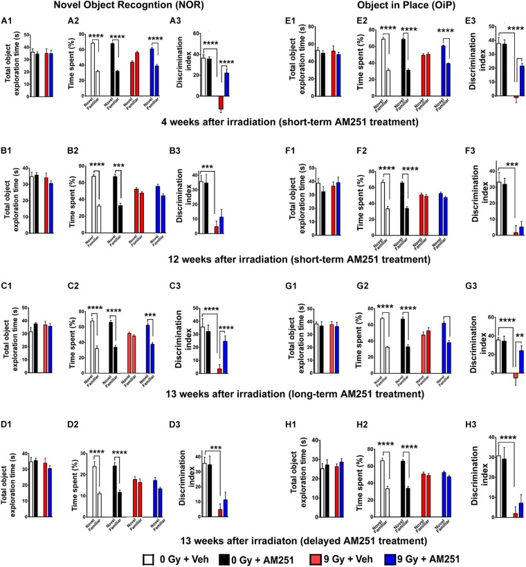 AM251 treatment reverses radiation-induced cognitive dysfunction. NOR: Total exploration time did not differ between all treatment groups (A1–D1). At 4 weeks postirradiation, the preference for novelty was reduced significantly in irradiated mice, an effect that was ameliorated by short-term AM251 treatment (A2), evidenced further by follow-up analysis of the DI (A3). However, this same short-term AM251 treatment was unable to maintain efficacy 12 weeks following irradiation (B2). While radiation-induced decrements persisted, the benefits of AM251 waned over this extended interval (B3). Nonetheless, long-term AM251 treatments were found to maintain neurocognitive benefits (C2), where radiation-induced decrements in the DI measured 13 weeks afterward were ameliorated significantly by AM251 (C3). Delayed AM251 treatment was not effective in resolving radiation-induced cognitive deficits 13 weeks postirradiation (D1–D3). OiP: Similarly, irradiation and/or AM251 treatment had no effect on total exploration time in the OiP task (E1–H1). At 6 weeks following irradiation, the preference for novelty was reduced significantly in irradiated mice, which was ameliorated by short-term AM251 treatment (E2), as indicated further by subsequent analysis of the DI (E3). When this same short-term AM251 treatment was assessed 12 weeks later, radiation-induced deficits persisted while AM251 failed to show efficacy (F2–F3). Long-term AM251 treatments were again found to restore neurocognitive benefits 13 weeks following irradiation (G2), where radiation-induced deficits in the DI found 13 weeks later were ameliorated significantly by AM251 (G3). Delayed AM251 treatment was not found to be effective in improving behavioral performance on the OiP task 13 weeks after irradiation (H1–H3). Data presented as means ± SEM, N = 8–12. P-values for total exploration time (A1–D1) and DI (E1–H1) were derived from two-way ANOVA followed by Bonferroni correction for multiple comparisons. While three-way ANOVA following Sidak post hoc analyses was carried out using time spent exploring novel/familiar object × irradiation (A2–D2;E2–H2). **P < 0.01; ***P < 0.001; and ****P < 0.0001.
