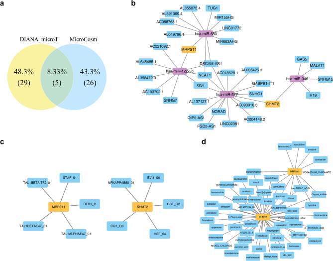 Overview of the molecular regulatory networks and interactions. (a) miRNA Venn diagram. (b) Molecular regulatory network diagram: Yellow represents genes, purple represents miRNAs, and blue represents lncRNAs. (c) TF-mRNA network diagram: Yellow represents genes, and blue represents TFs. (d) Gene-drug interaction network diagram