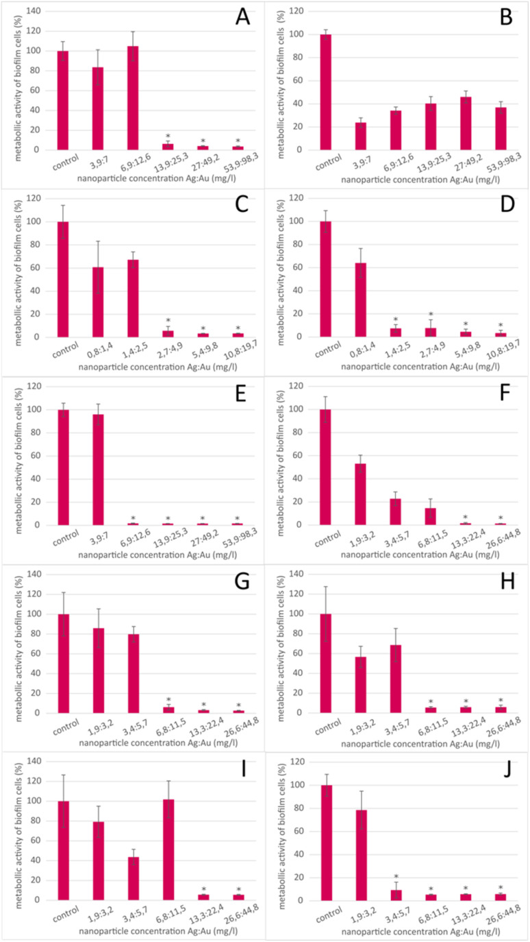 Metabolic activity of P. aeruginosa in response to bimetallic nanoparticles. This figure presents the results of MBIC testing for P. aeruginosa (strains DBM 3081, DBM 3777, ATCC 10145, ATCC 15442 and PAO1) exposed to bimetallic nanoparticles synthesized using two different plant extracts. Graphs (A–E) show the metabolic activity of P. aeruginosa at different concentrations of nanoparticles produced using Vitis vinifera extract, with MBIC80 values ranging from 1.4 to 13.9 mg L−1 of silver and 2.5 to 25.3 mg L−1 of gold. Graphs (F–J) display the metabolic activity at varying concentrations of nanoparticles synthesized using Cannabis sativa extract, where the MBIC80 values were found in the concentration range of 3.4 to 13.3 mg L−1 of silver and 5.7 to 22.4 mg L−1 of gold. The graphs provide a visual representation of the inhibitory activity of these nanoparticles against both planktonic and adhering cells.