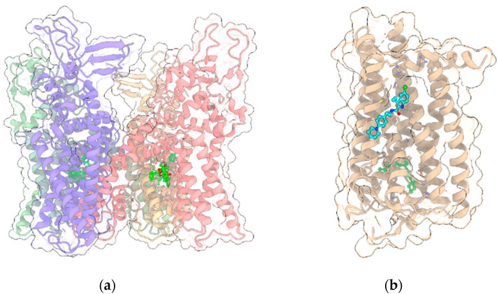 (a) Crystal structure (PDB entry: 5IRX) of the 4:4 complex between rat TRPV1 (light green, red, yellow and violet ribbon and transparent surface for the four protein monomers) and the agonist resiniferatoxin (ball and stick with bright green C atoms); (b) Crystal structure (PDB entry: 6KQI) of the complex of CB1R (tan ribbon and transparent surface) with the negative allosteric modulator ORG27569 (ball and stick with cyan C atoms) and the agonist CP55940 (ball and stick with bright green C atoms). In all panels, other ligands and non-receptor protein sequences are omitted; protein sidechains contacting ligands within 5 Å are shown as sticks; oxygen, nitrogen, sulfur and chlorine atoms in ligands and visible protein sidechains are colored red, blue, yellow and green, respectively.