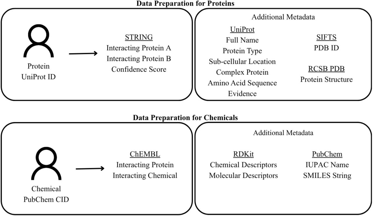 Data preparation pipeline for proteins and chemicals.Schematic depiction of the workflow used to compile protein–level and chemical–level data for network construction. Protein nodes (UniProt IDs) were annotated with interaction data from STRING, including interacting pairs and confidence scores. Additional metadata were integrated from UniProt, SIFTS, and RSCB PDB. Chemical nodes (PubChem CIDs) were annotated with interaction data from ChEMBL. Additional metadata were pulled from PubChem and calculated using RDKit.