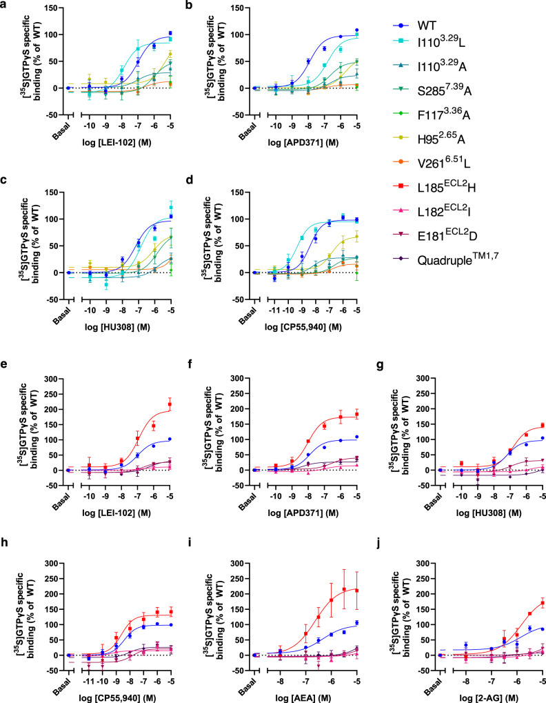 Characterization of G protein activation of wild type (WT) and mutant CB2R by synthetic agonists and endocannabinoids.Dose-response curves for G protein activation of WT and mutants that are located in the CB2R binding pocket by a LEI-102, b APD371, c HU308, and d CP55,940. e–j Dose response curves for G protein activation of WT and mutants that are proposed to be involved in ligand entry of CB2R via either the ECL2 or membrane access by e LEI-102, f APD371, g HU308, h CP55,940, i AEA and j 2-AG. a–j The maximum activation level of WT CB2R was set to 100% while the basal levels were set to 0%. Data are presented as mean ± SEM of at least three individual experiments performed in duplicate (specific n values are given in Supplementary Table 6). Source data are provided as a Source Data file.