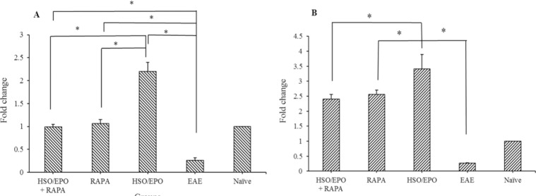 Fold changes of the mRNA expression of (A) mTORC2 and (B) IL-10 genes. Data presented as mean ± SEM. * Shows significant difference between groups, P ≤ 0.05. mTORC2, mammalian target of rapamycin complex 2; IL-10, intraperitoneal; HSO/EPO, hemp seed oil/evening primrose oil.