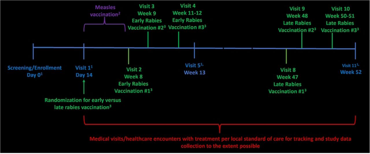 Study Schematic1Research blood samples2 Measles vaccination in controls if confirmed to have negative serum measles IgG3 Rabies vaccine Dose 2 is given 7 days +2 days after Dose 1, and Dose 3 is given at Day 21 to Day 28 after Dose 1 and at least 14 days after Dose 24Healthcare utilization assessment