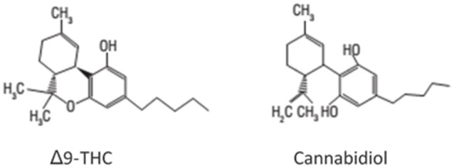 Chemical structures of Δ9-tetrahydrocannabinol (Δ9-THC) and cannabidiol (CBD) (5).