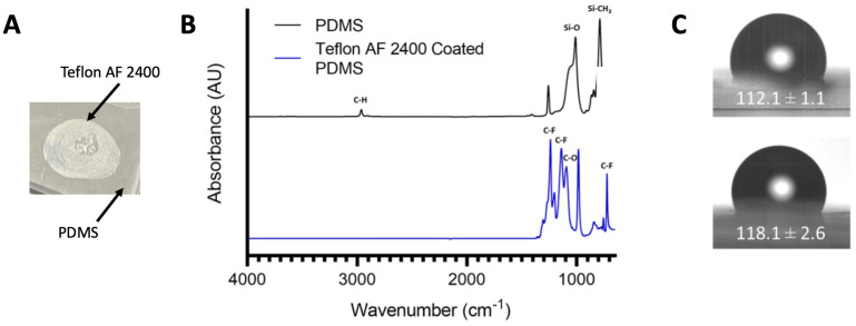 Surface characterizations of PDMS functionalized with and without Teflon AF 2400. (A) A photograph of a drop (20 µL) of 1% Teflon AF 2400 incubated on a PDMS for 30 min at 80 °C. A visible spot (~5 mm) could be observed. (B) ATR-FTIR spectroscopy of bare PDMS and PDMS coated with Teflon AF 2400. (C) Representative images of the water contact angle of bare PDMS (top) and PDMS coated with Teflon AF 2400 (bottom).