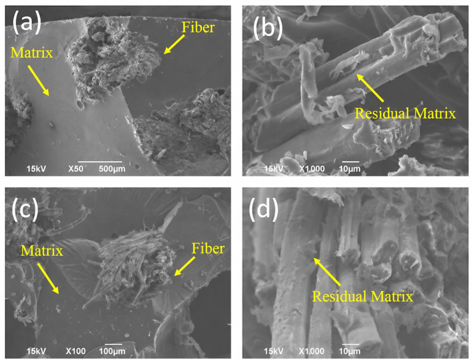 Fracture surface under SEM for (a,b) hemp composites and (c,d) flax composites.