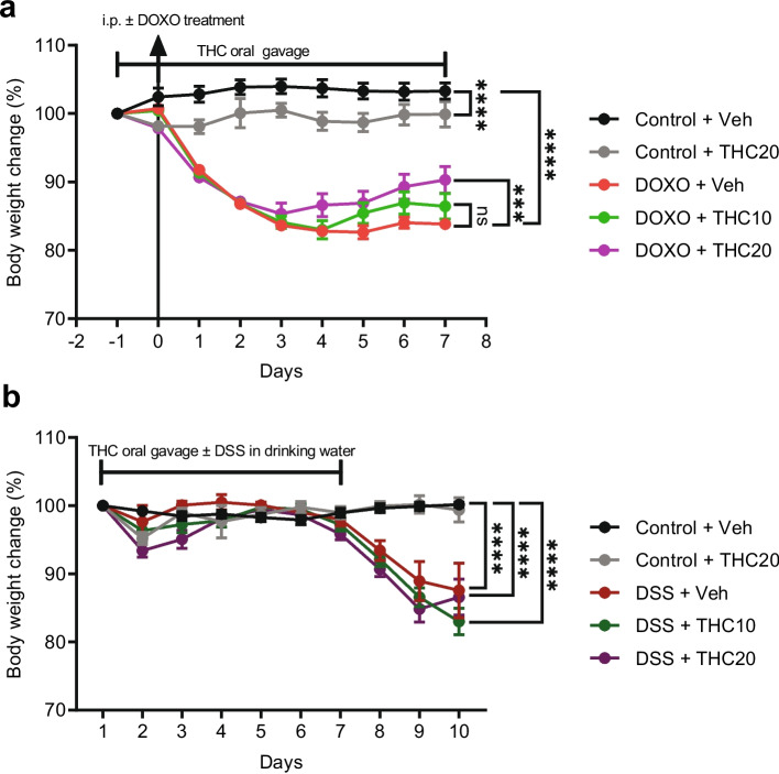 Changes in mouse body weight over time in THC-treated mucositis and colitis. a Weight change (%) as compared with baseline weight in Doxorubicin (DOXO)-induced mucositis. b Weight change (%) as compared with baseline DSS-induced colitis. Veh = vehicle treatment, THC10 = 10 mg/kg THC, THC20 = 20 mg/kg THC. Results are presented as means ± SEM. Weight is relative to baseline weight on day −1. ***p ≤ 0.001, ****p ≤ 0.0001