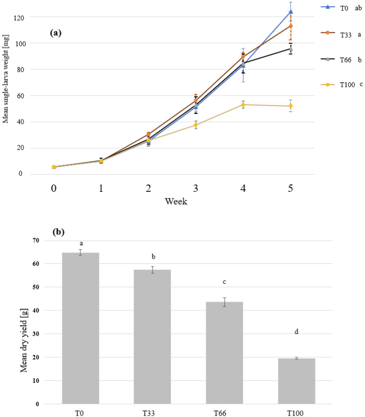 The growth and the final dry yield of mealworm larvae grown on substrates that contain different ratios of hemp material. Mealworm larvae were fed with wheat bran (T0), 67% bran and 33% hemp (T33), 34% bran and 66 hemp (T66), or 100% hemp (T100). The means and standard deviations of (a) the single-larva fresh weight over time and (b) the final dry yield are shown in the graph. Repeated measures ANOVA with Greenhouse–Geisser correction (n = 5, p < 0.001, F = 1531.7), and Kruskal-Wallis test (n = 5, p < 0.001) revealed significant differences in the larvae growth and final dry yield, respectively. Significant groups are indicated by the different letters.