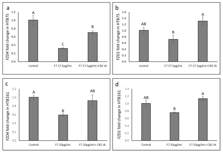 Quantitative PCR-based determination of the RNA steady state level in HTB75 (a,b) and HTB161 (c,d) cell lines of FZD4 and FZD1 genes at 6 h of treatment with F7 or F7+CB2 IA, relative to control. Gene transcript values were determined by quantitative PCR as a difference between the target gene versus a reference gene (HPRT). Values were calculated relative to the average expression of target genes in treated versus control using the 2−ΔΔCt method. Control was the vehicle control (1.00% v/v methanol + 0.10% v/v DMSO). Error bars indicate ± S.E. (n = 3). Levels with different Upper case letters were significantly different from all combinations of pairs by Tukey-Kramer honest significant difference (HSD; p ≤ 0.05).