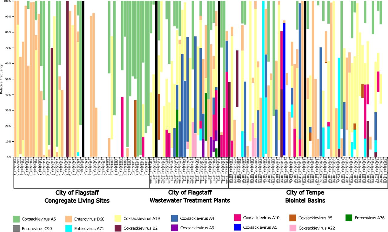 Taxonomic composition bar plot illustrating the species-level composition of enteroviruses in wastewater samples.Enterovirus subspecies that had at least 1% of the total reads classified as that subspecies are shown in this plot. A more detailed summary of the read classification per sample can be found in Table S2. Samples were sorted by Location Type and Collection Date. Columns showing only black bars indicate samples where no sequencing reads were produced, and white indicates uncharacterized reads