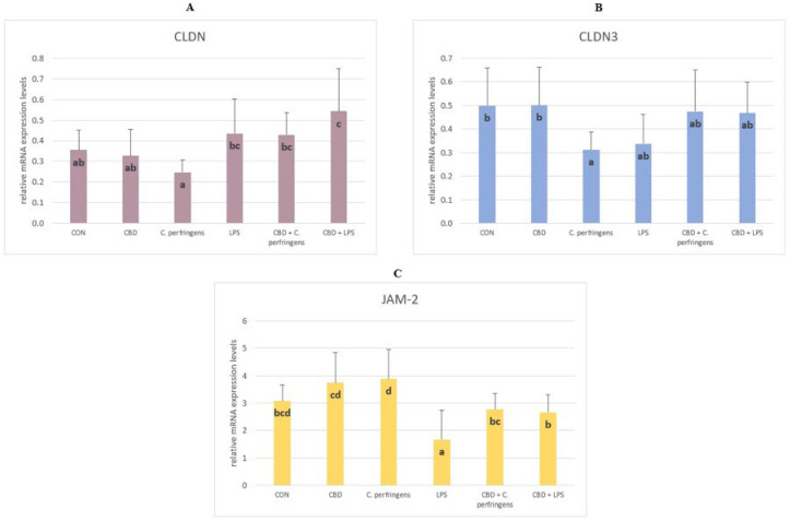 The relative mRNA expression levels (normalized to the glyceraldehyde-3-phosphate dehydrogenase expression and β-actin levels as the most accurate endogenous control gene) of (A) claudin (CLDN), (B) claudin 3 (CLDN-3), and (C) junctional adhesion molecule 2 (JAM-2) in the jejunum tissue of chickens. The chickens were fed a control diet (CON), CON supplemented with 30 g of hemp extract/kg diet (CBD), CON diet and subjected to E. coli LPS and C. perfringens challenge (LPS and C. perfringens), and CON diet supplemented with 30 g of hemp extract/kg diet and subjected to E. coli LPS and C. perfringens (CBD + LPS and CBD + C. perfringens). Significant differences are indicated by different letters (p < 0.05). The error bars indicate the pooled standard deviations in each dietary treatment group for the eight chickens.