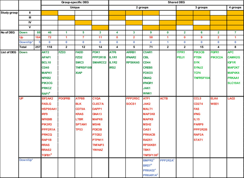 DEG in 12 pathways unique or shared by study groups. Orange-coding classifies DEG unique to or shared by study groups with down-regulated DEG texted green, up-regulated DEG texted red and DEG expressed in opposite directions in two study groups texted blue. #: Additional genes not shown CREBBP, FOXO1, IL1A, MAP3K3, NFAT5, PDPK1 and TLR6 in 2 pathways, and all others in a single pathway, including ACVR1B, ARID2, BCL6, BID, CFLAR, CSNK2A1, EP300, FOXP1, GAB2, IGF2R, IL4R, IL6R, LIMS1, LTB, MAP3K2, MDM2, MGAT5, MMP9, NAIP, PGF, POU2F1, PPP3CA, PTPRC, RAC1, RPS6KA2, SGK1, THEM4, TNFRSF21, TNFRSF25 and TNFSF14. $: Additional genes not shown NFATC2, STAT2, TGFBR3, TLR3 and YWHAQ in 2 pathways, and all others in a single pathway, including ACTA2, ANAPC4, ANAPC10, ATF5, BATF, BIRC2, BMPR1A, CAMK2D, CD28, CD81, CDKN2A, CYCS, E2F7, E2F8, EIF2S1, EIF4E, FANCA, FANCF, FANCM, FGFR2, FYN, HLA-DQA1, HLTF, IFITM1, IL10RA, IL12RB1, ILK, INPP5F, IRF3, IRF7, KIF11, LCK, MRE11, MX1, PARP11, PARP15, PARP2, PARP3, PDCD1, PLEKHA3, PLK4, PPP3CB, PRKAB2, PTTG1, RBBP8, RFC5, RPS6KC1, SH2D2A, SMAD3, SMARCE1, SOS1, STAT4, TAB3, TAP1 and TBX21. ‡: Additional genes not shown ATF3, ATR, AZI2, BARD1, BRIP1, C1QB, CASP3, CASP7, CCNB1, CCNB2, CDC7, CDC20, CDK1, CTLA4, DDX58, EOMES, FANCL, FBXO5, FZD1, HLA-DPA1, IFI35, IFI6, IFIH1, IFIT1, IFIT3, IRF1, ISG15, ITGA4, ITGB1, MEF2A, NBN, OAS2, OAS3, PARP12, PARP14, PDIA3, PIK3AP1, PRC1, PRDM1, PRKCH, RAD50, RFC3, ROCK1, SLK and UBE2N in a single pathway. *: Same gene which was up (↑)- and down (↓)-regulated in different groups. a: ↓ in II, ↑in V. b: ↑in II, ↓in V. c: ↓ in IV, ↑ in V