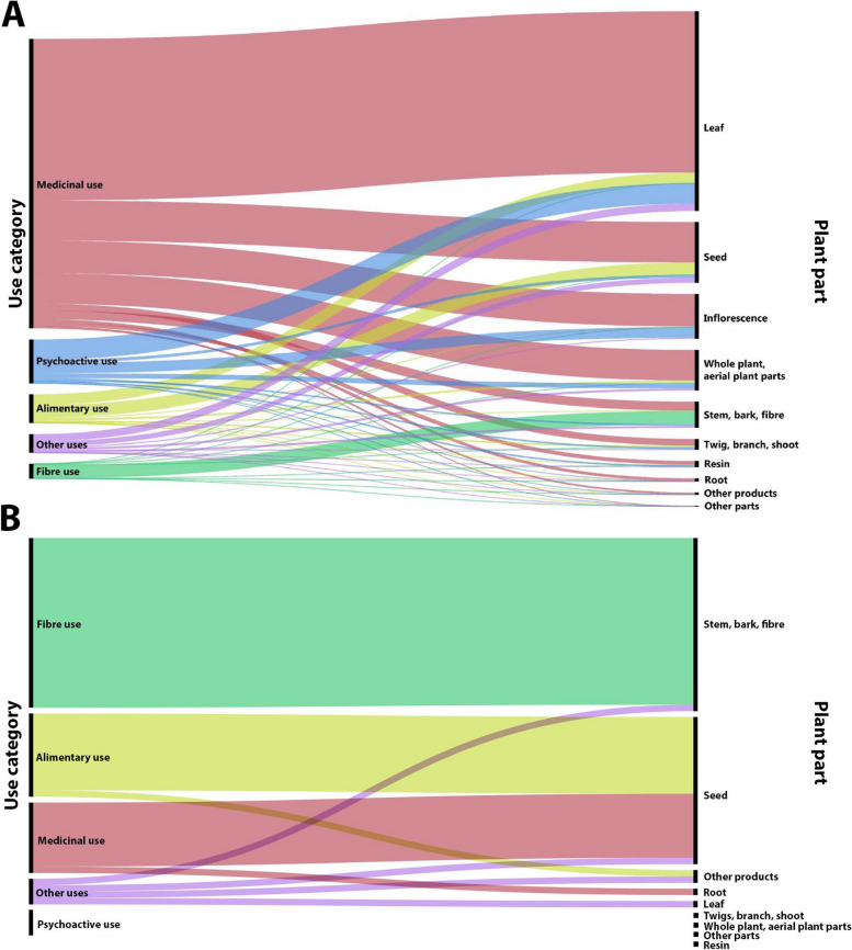 Cannabis uses and the plant parts used for each use category in (A) CANNUSE database and (B) uses from Armenia obtained with the current bibliographic review. The figures illustrate the relationships between use categories (left) and plant parts (right) through an alluvial chart. The flows between these two groups represent the frequencies of each plant part being used for a corresponding use category. The width of each flow is proportional to the frequency, highlighting the most commonly used plant parts for specific purposes and providing a visual summary of the connections between use categories and plant parts. The colours for individual categories in both graphs match, for easier comparison of the proportion of uses within both datasets